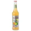 Monin - Margarita Mix Concentrate 700ml -Santos Shop 449149 Large