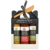 Random Harvest - Gourmet Fireball BBQ Carry Box 2 Random Harvest - Gourmet Fireball BBQ Carry Box -Santos Shop 490685 Large