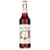 Monin - Raspberry Syrup 700ml -Santos Shop 543697 Large